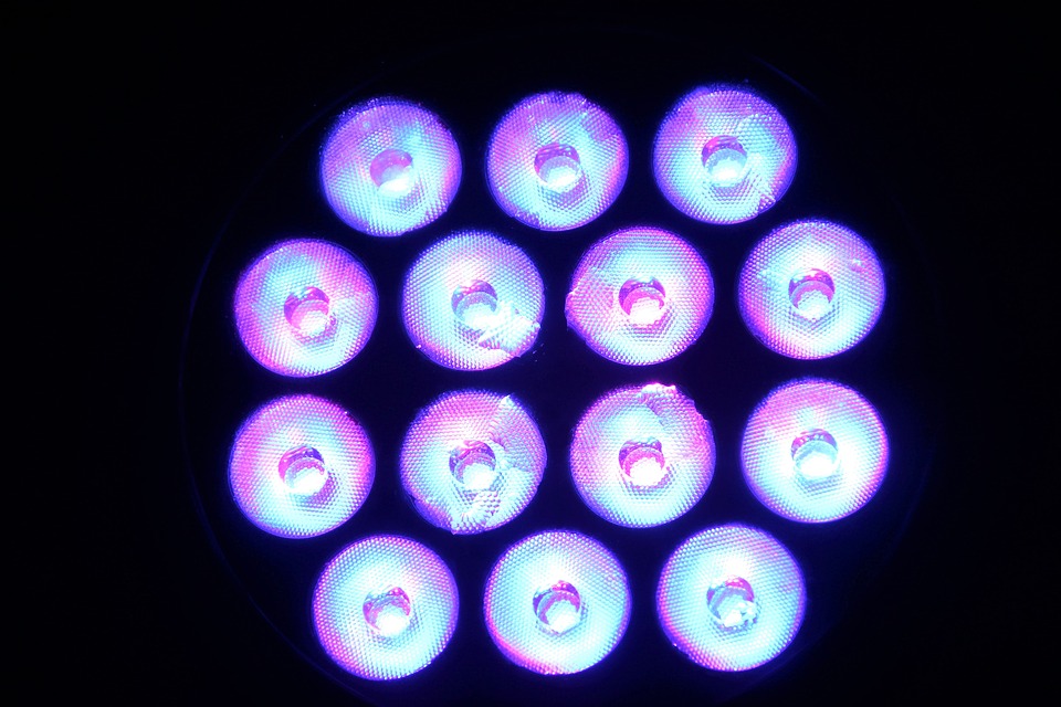 LEDs bulbs